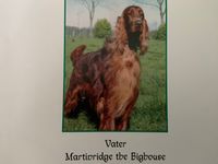 Martinridge the Bighouse